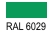 6029 RAL 6029